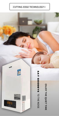 개인 폼 24KW 벽에 장착 된 가스 보일러 가정 난방 탱크 없는 즉각 가스 워터 히터