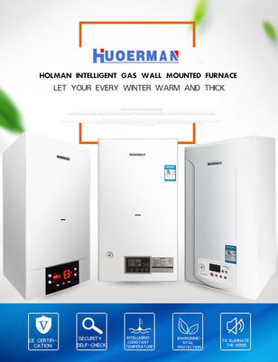 20kW 24kW 28kW 30kW 32kW 벽에 장착 된 가스 보일러 과열 보호 욕실