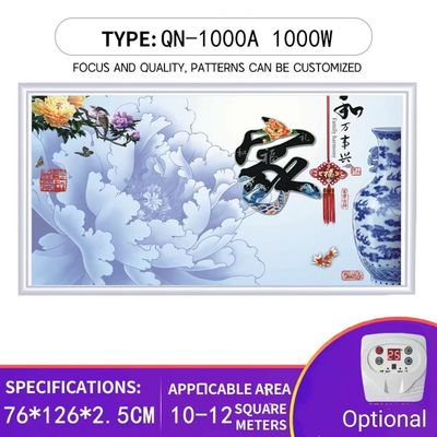 벽/상장 장착 1000W 전기 패널 CE 탄소 결정과 적외선 난방
