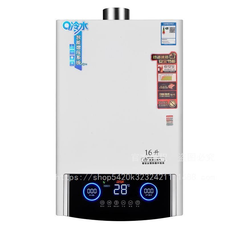 강한 방출 유형 탱크 없는 LPG/LNG 가스 워터 히터 8L/10L/12L/16L/18L/20L/22L/24L